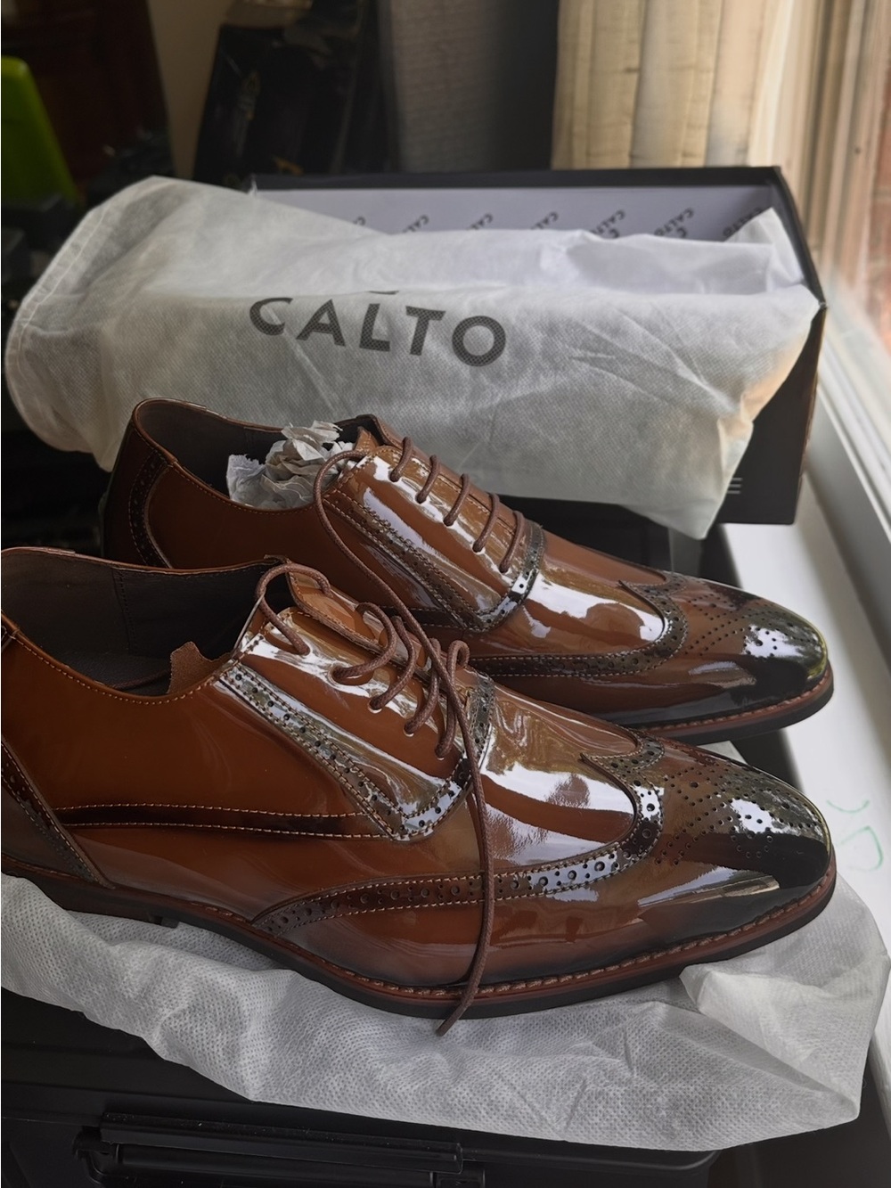 Calto Men’s Brown Patent Leather Wingtip Oxford